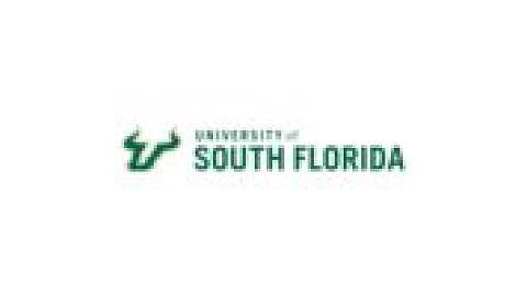 University of South Florida