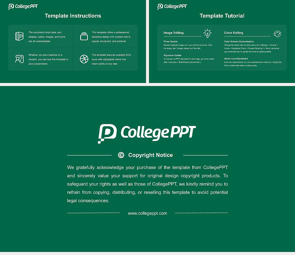 University of South Florida-St Petersburg Course/Courseware Creation PPT Template16:9 ratio PPT effect preview image5