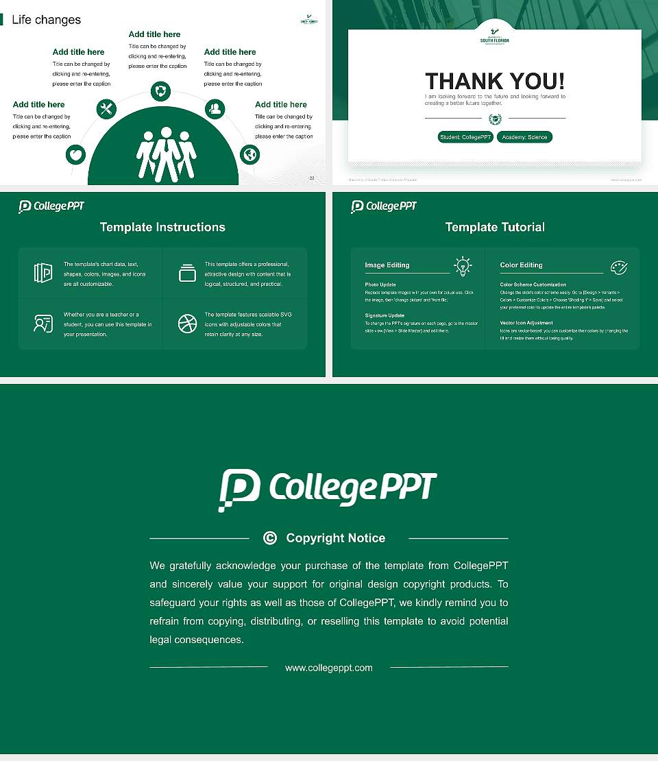 University of South Florida-Sarasota-Manatee National Scholarship Defense PPT Template16:9 ratio PPT effect preview image4