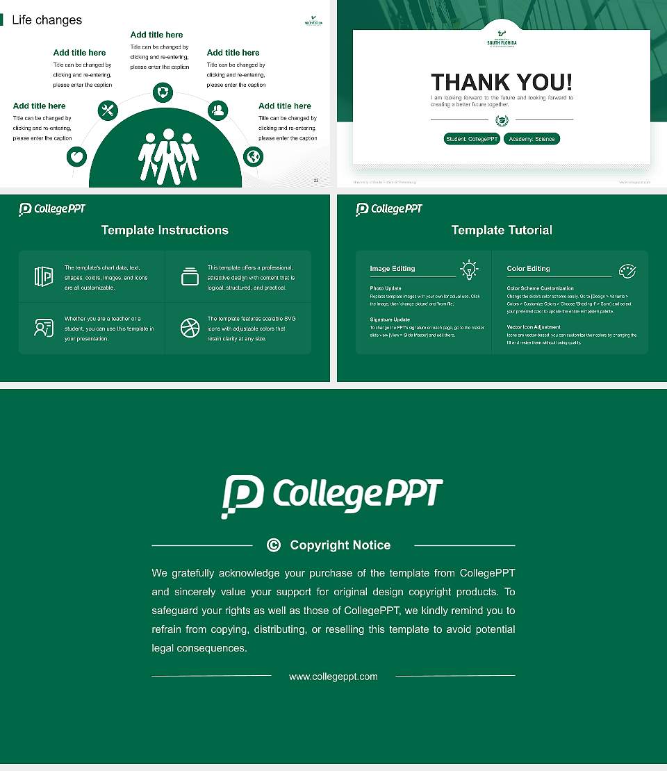University of South Florida-St Petersburg National Scholarship Defense PPT Template16:9 ratio PPT effect preview image4