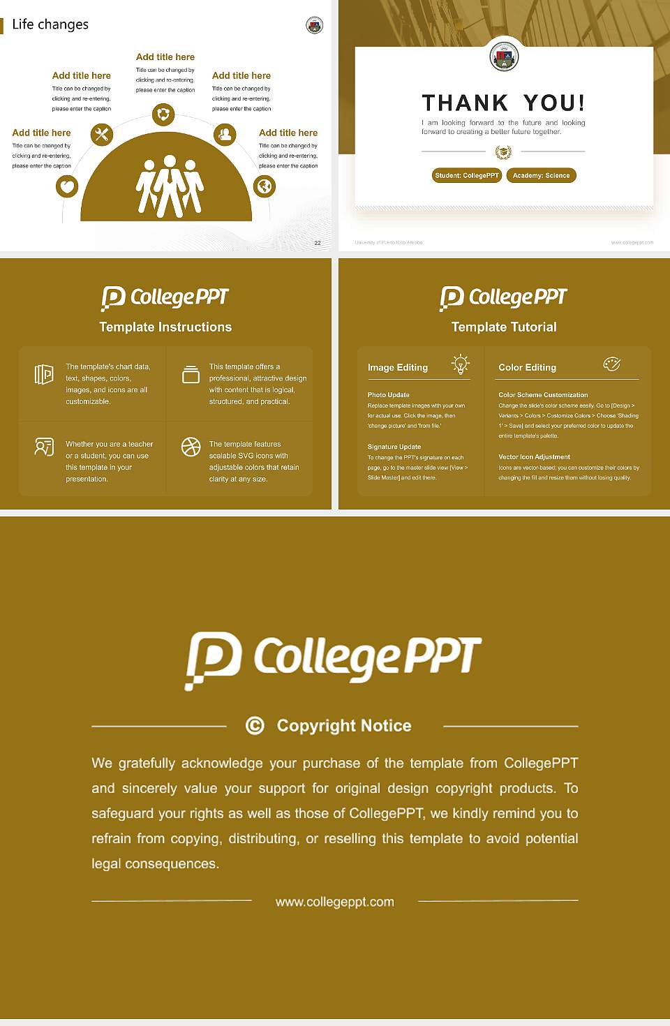 University of Puerto Rico-Arecibo National Scholarship Defense PPT Template4:3 ratio PPT effect preview image4