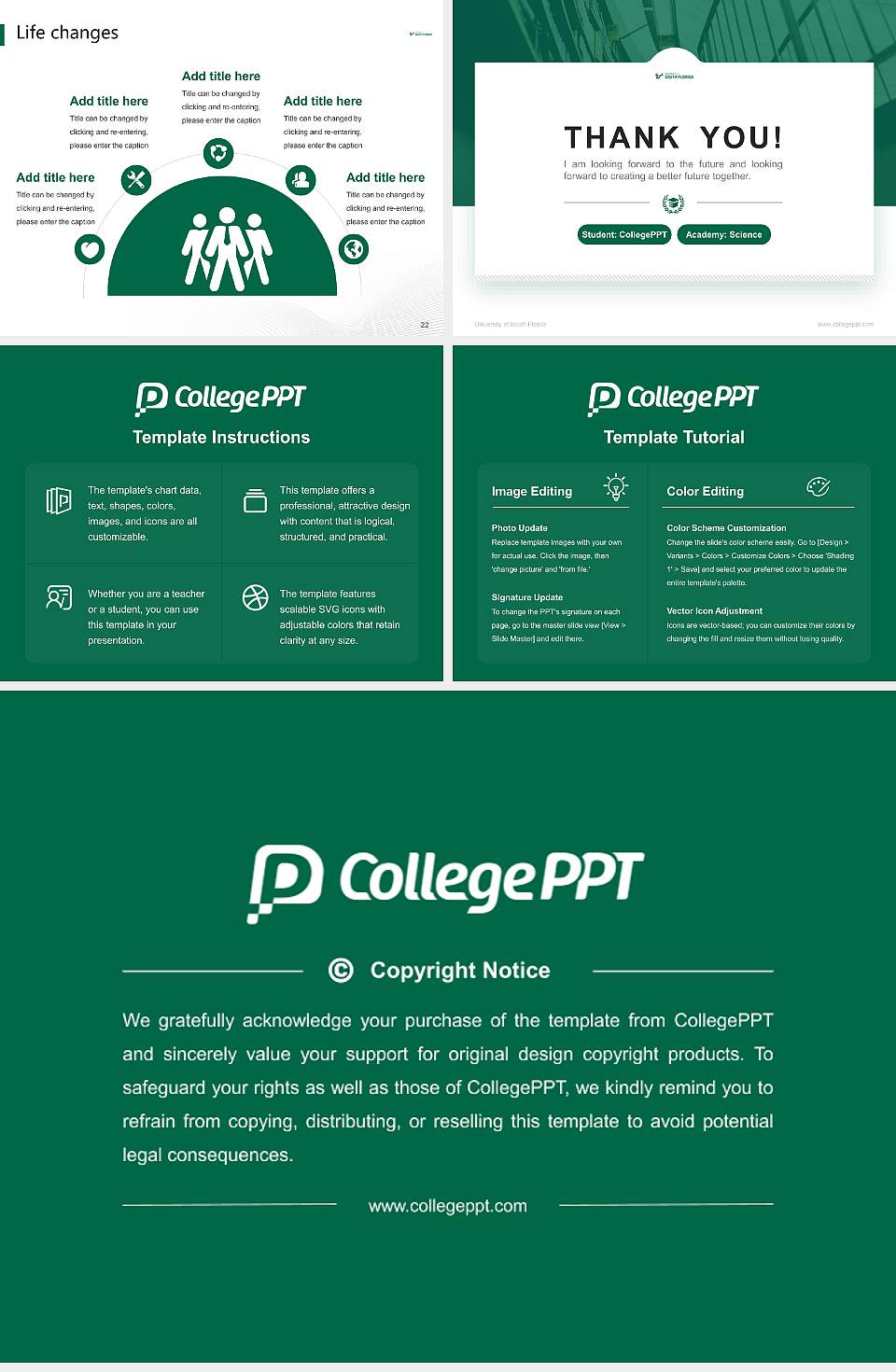 University of South Florida National Scholarship Defense PPT Template4:3 ratio PPT effect preview image4