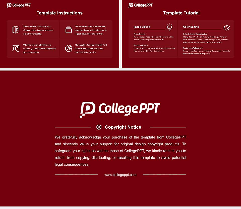 University of South Carolina-Columbia Academic Presentation/Research Findings Report PPT Template16:9 ratio PPT effect preview image5