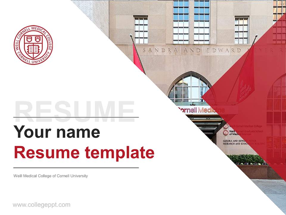 Weill Medical College of Cornell University Resume PPT Template4:3 ratio PPT effect preview image5