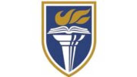 韦尔奇学院
