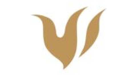 瓦尔多夫大学