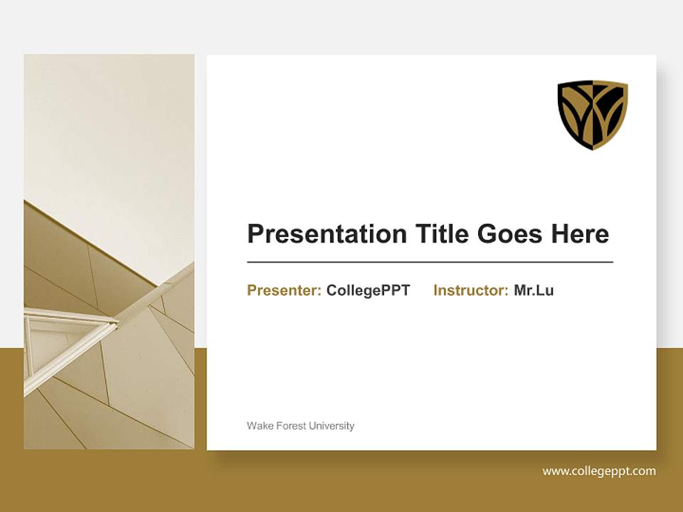 Wake Forest University General Purpose PPT Template4:3 ratio PPT effect preview image6
