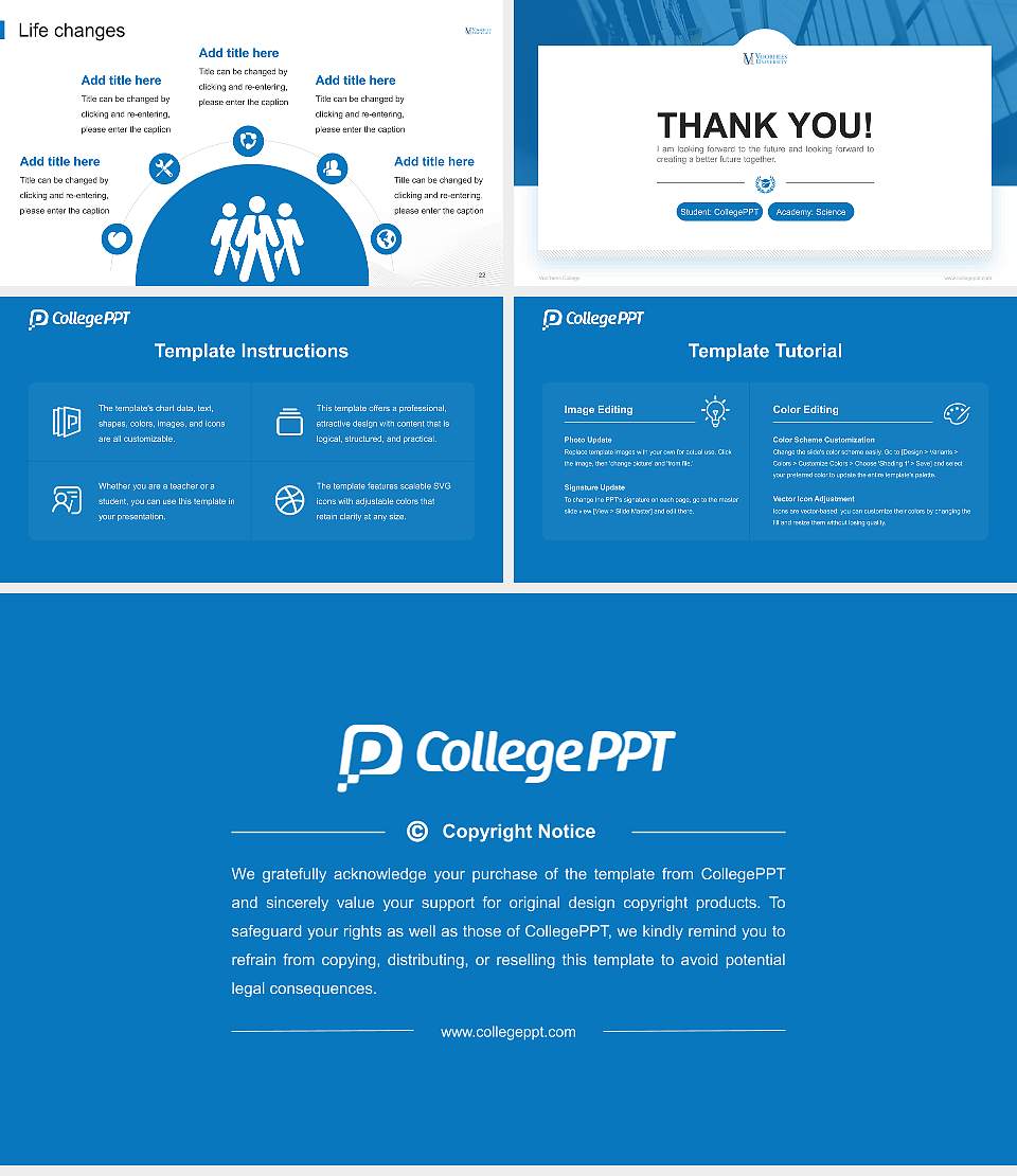 Voorhees College National Scholarship Defense PPT Template16:9 ratio PPT effect preview image4