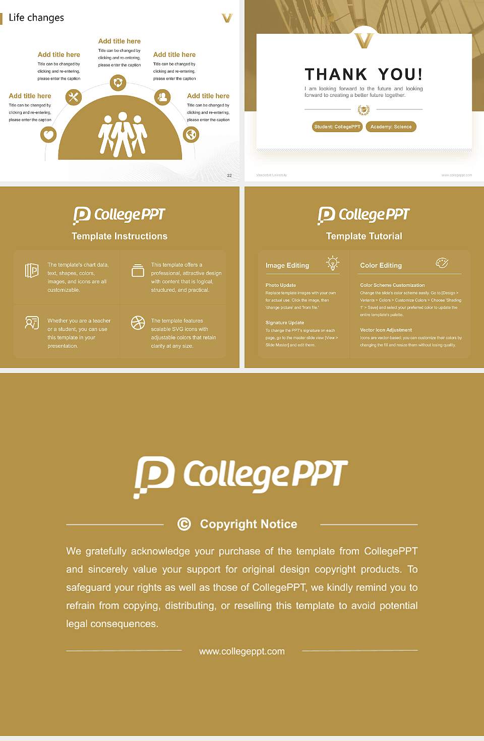 Vanderbilt University National Scholarship Defense PPT Template4:3 ratio PPT effect preview image4