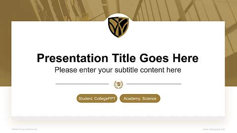 Wake Forest University National Scholarship Defense PPT Template