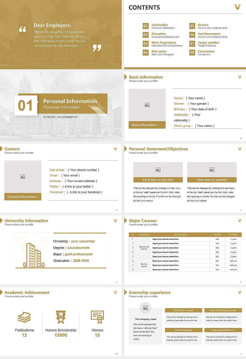 Vanderbilt University Resume PPT Template16:9 ratio PPT effect preview image2