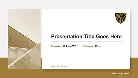Wake Forest University General Purpose PPT Template