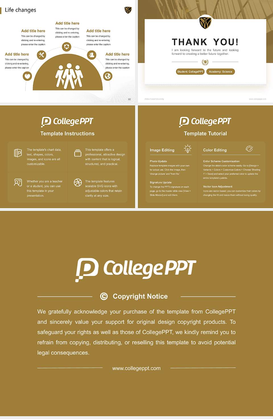 Wake Forest University National Scholarship Defense PPT Template4:3 ratio PPT effect preview image4