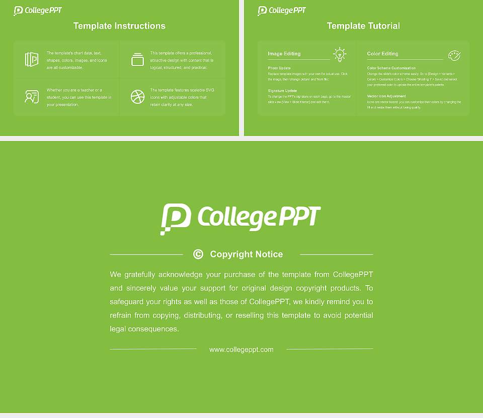 Visible Music College Course/Courseware Creation PPT Template16:9 ratio PPT effect preview image5
