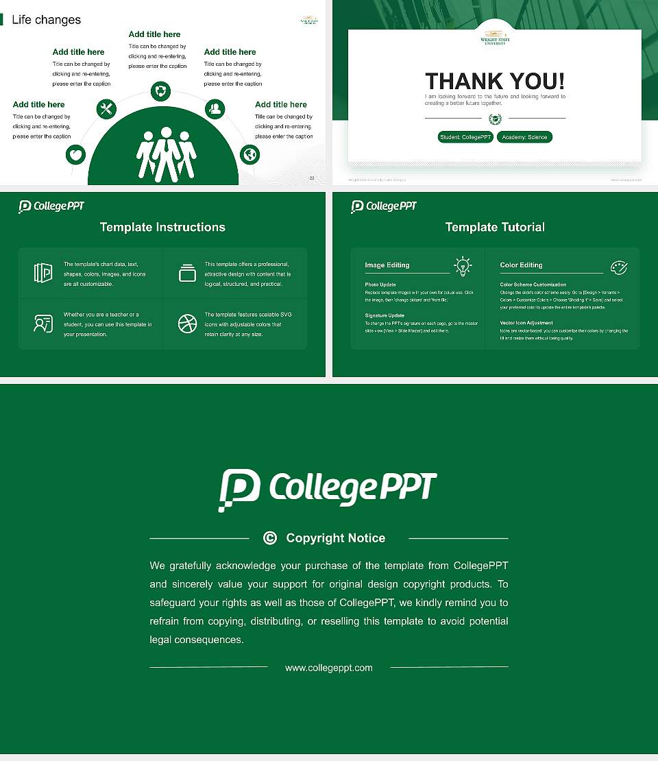 Wright State University–Lake Campus National Scholarship Defense PPT Template16:9 ratio PPT effect preview image4