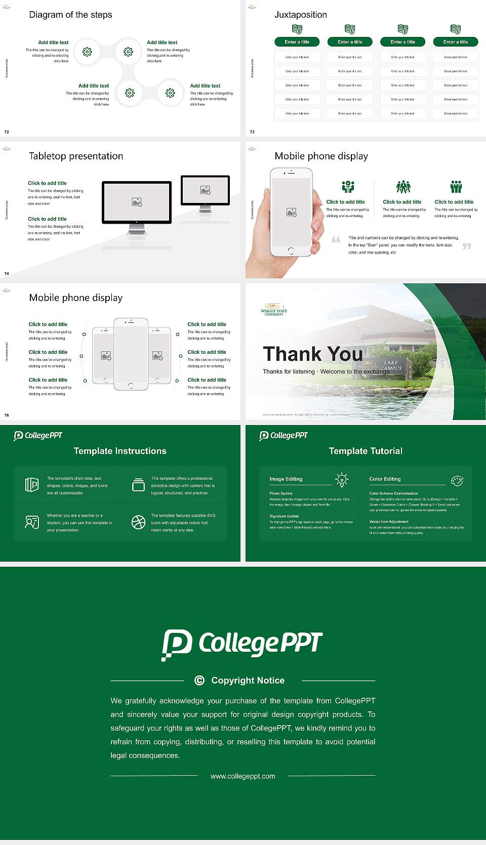 Wright State University–Lake Campus Competition/Entrepreneurship Contest PPT Template16:9 ratio PPT effect preview image9