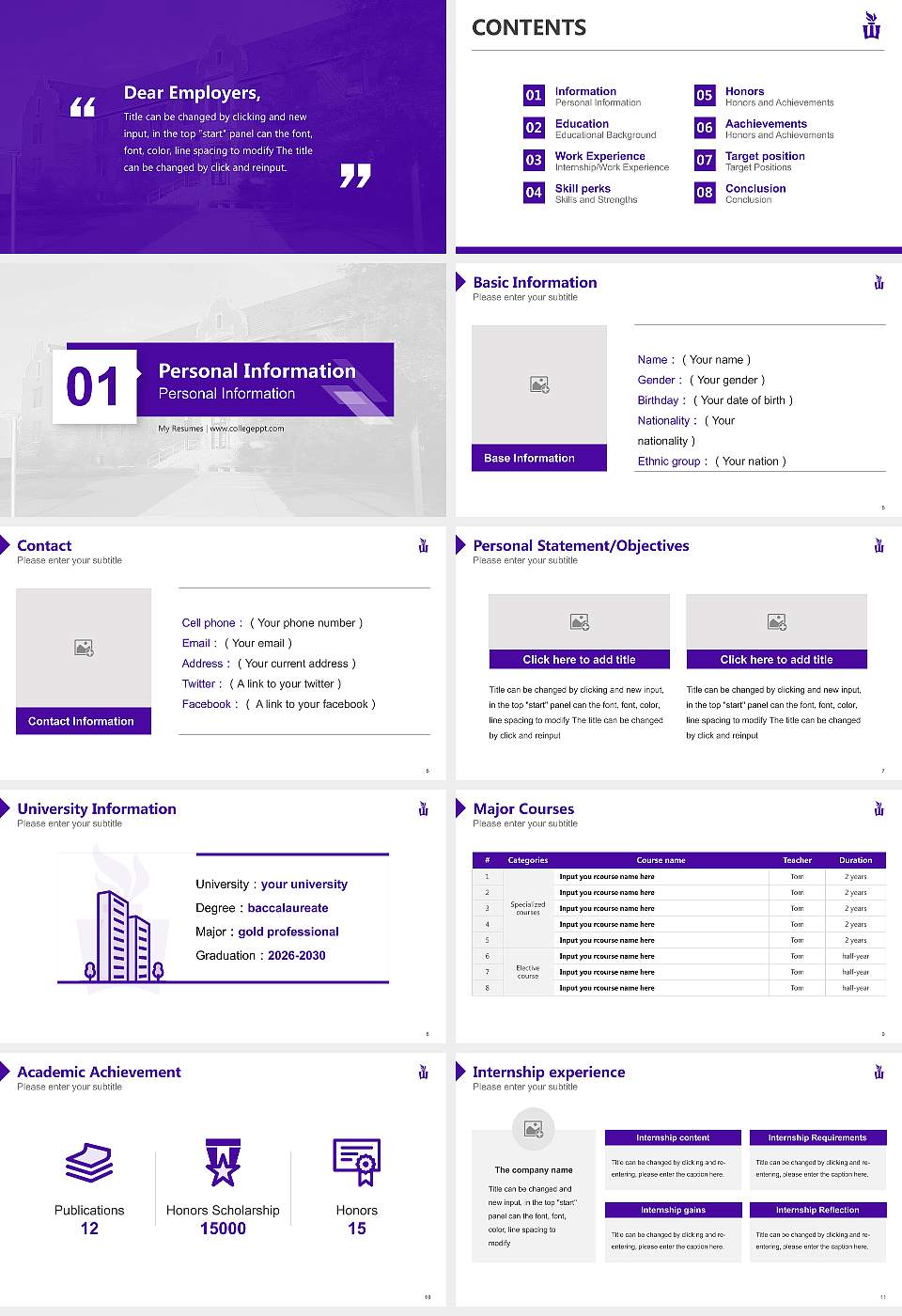 Winona State University Resume PPT Template16:9 ratio PPT effect preview image2