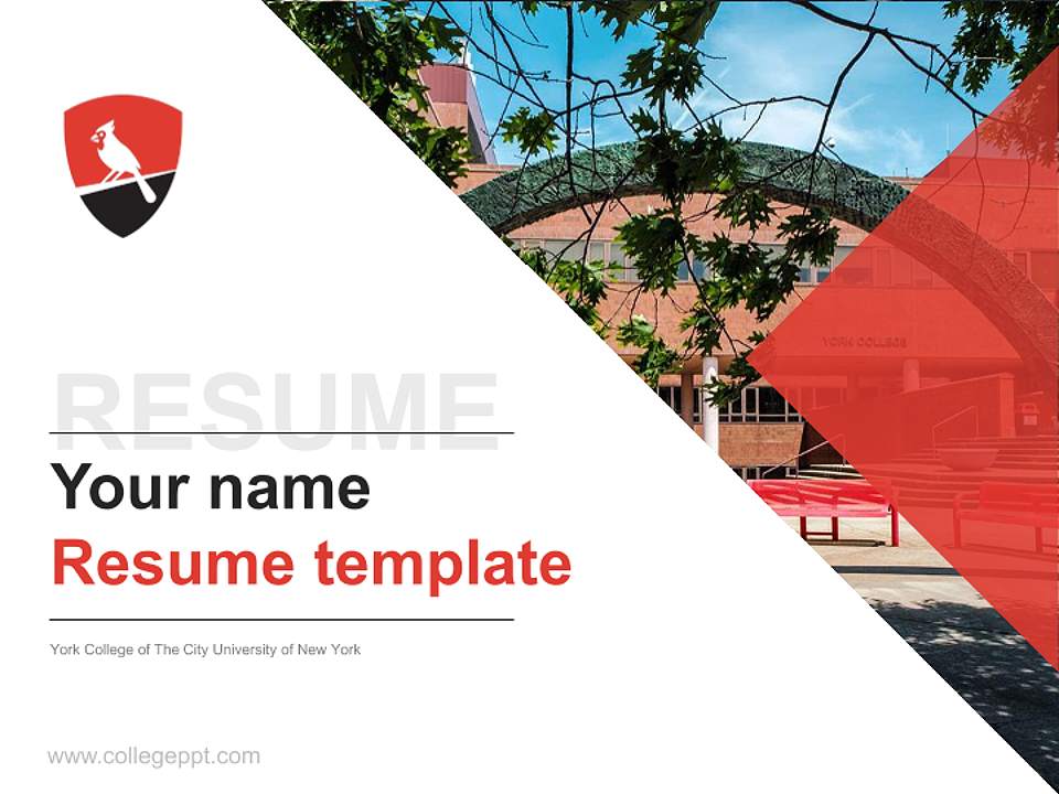 York College of The City University of New York Resume PPT Template4:3 ratio PPT effect preview image5