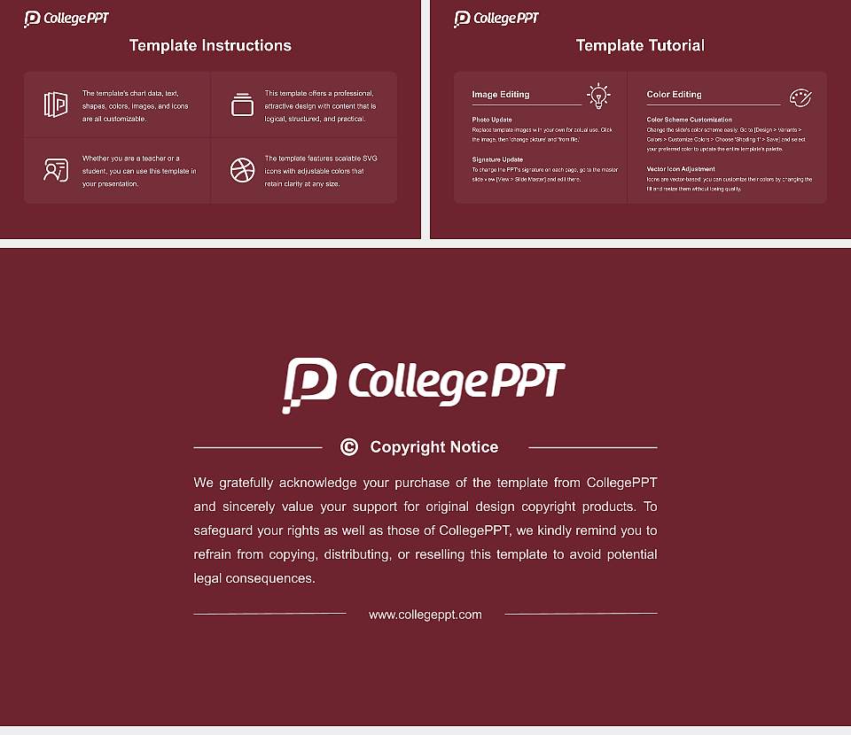 Meisei University Academic Presentation/Research Findings Report PPT Template16:9 ratio PPT effect preview image5