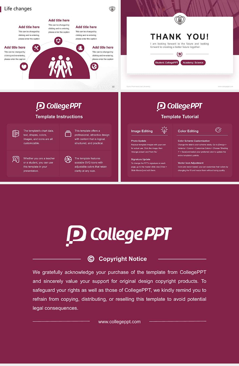 Kyoto  Pharmaceutical  University National Scholarship Defense PPT Template4:3 ratio PPT effect preview image4