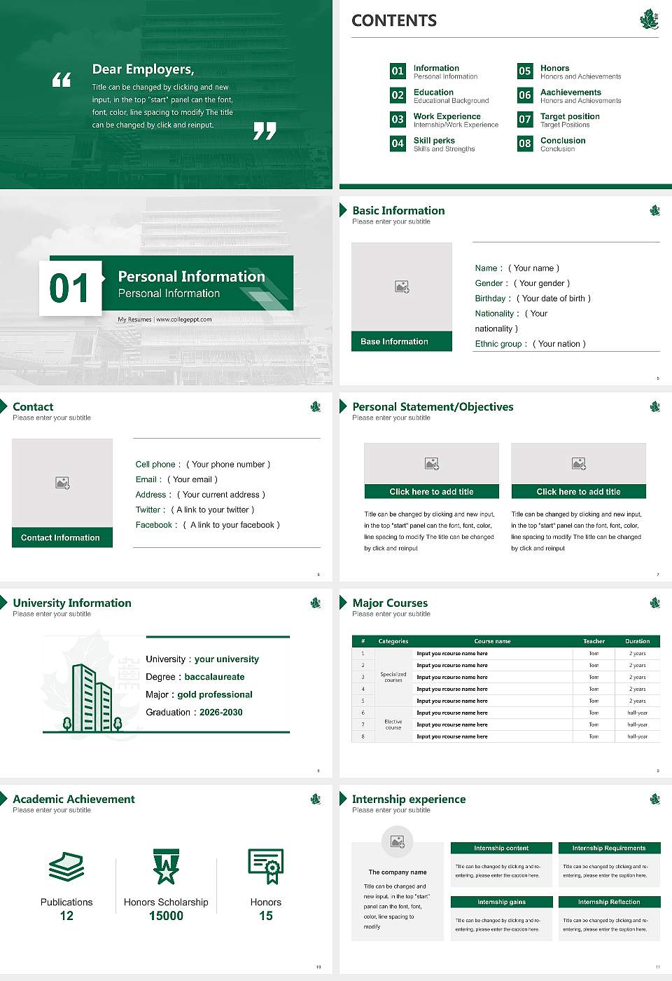 Kyushu Dental University Resume PPT Template16:9 ratio PPT effect preview image2