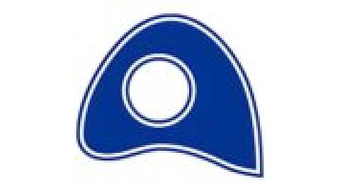Osaka Aoyama University