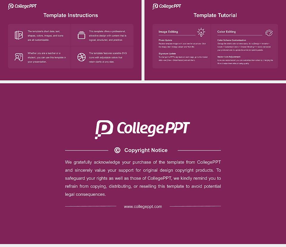 Shizuoka Eiwa Gakuin University Course/Courseware Creation PPT Template16:9 ratio PPT effect preview image5