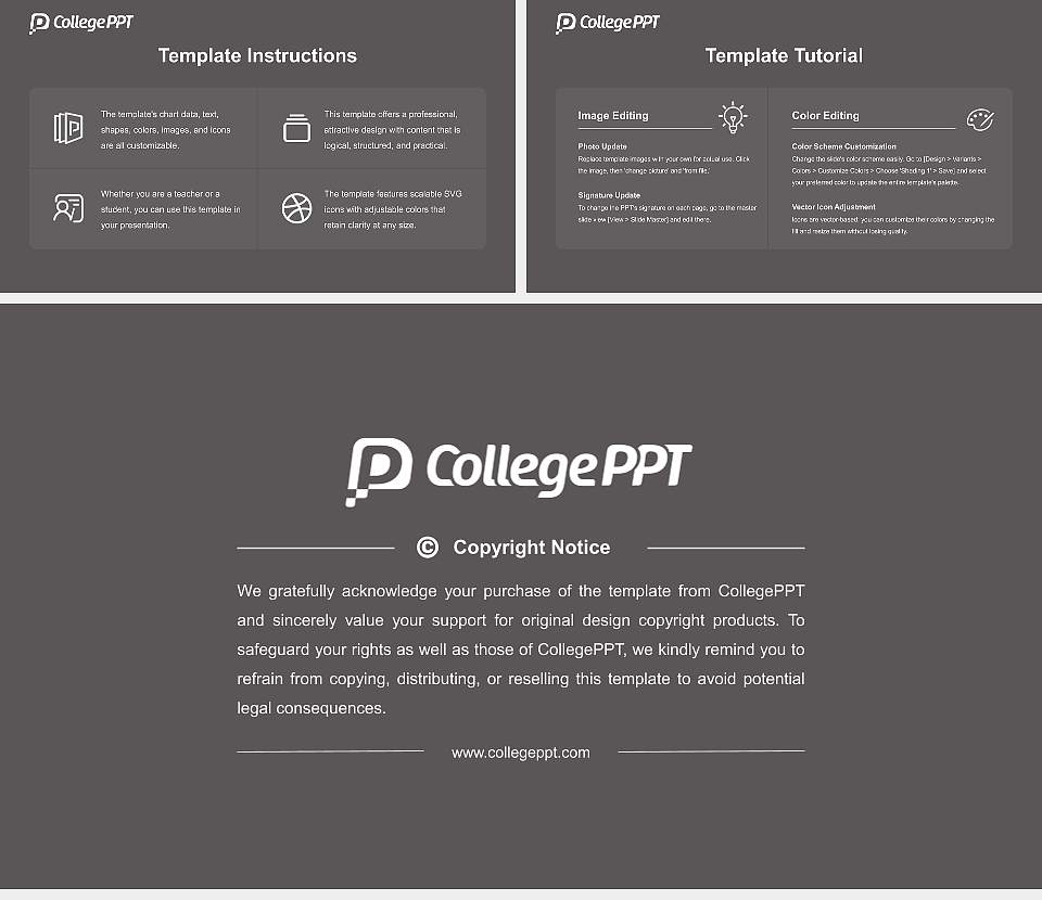 Onomichi City University Course/Courseware Creation PPT Template16:9 ratio PPT effect preview image5