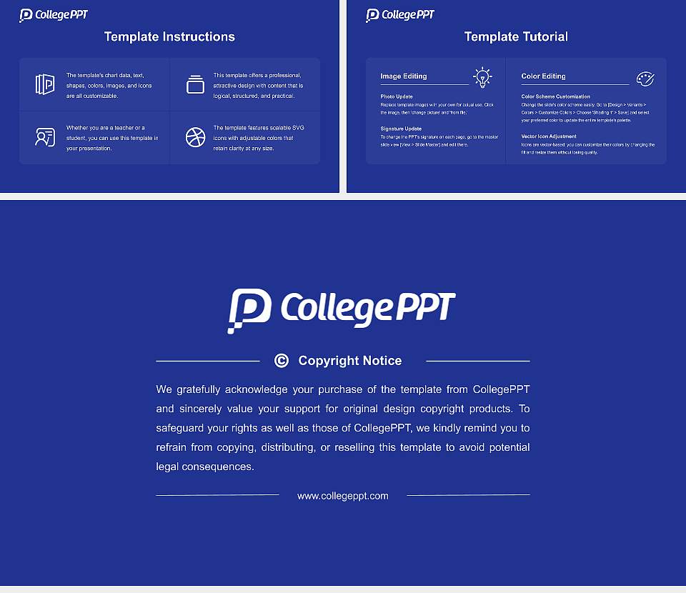 Osaka University Course/Courseware Creation PPT Template16:9 ratio PPT effect preview image5