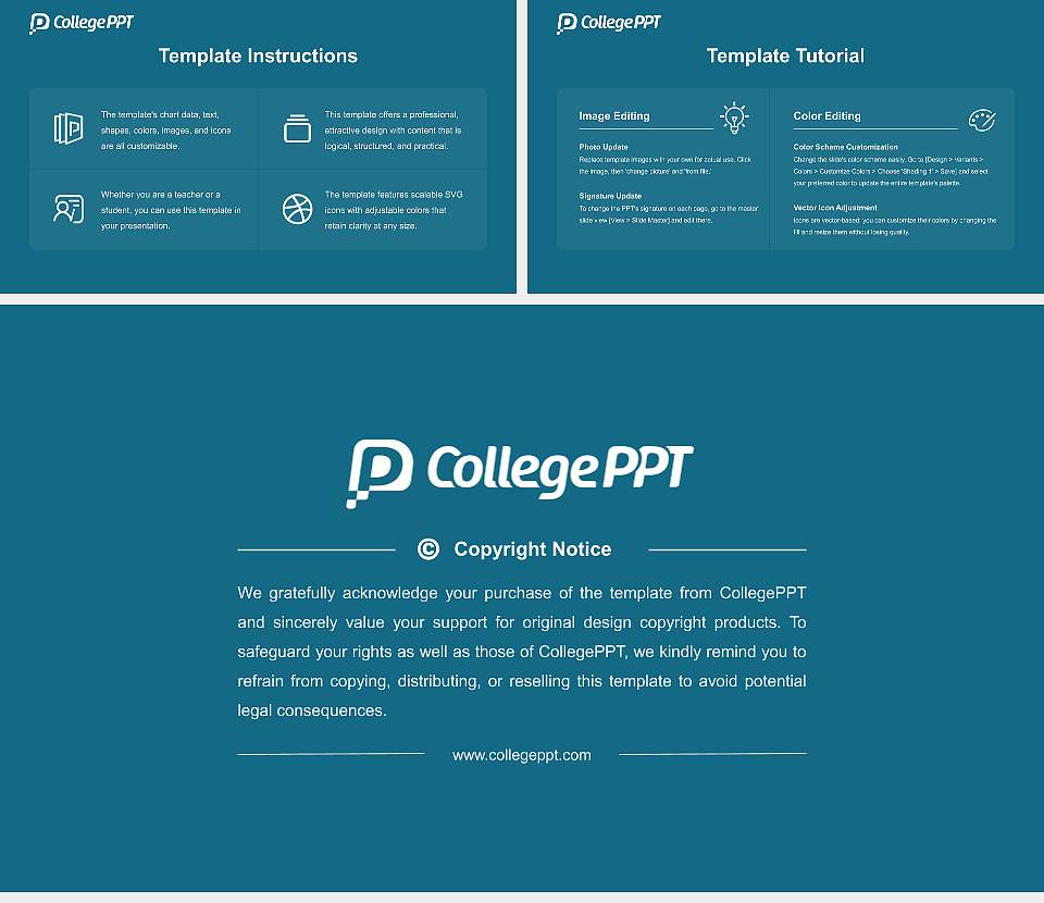 Okinawa University Course/Courseware Creation PPT Template16:9 ratio PPT effect preview image5