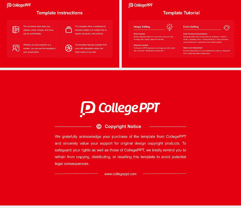 Niigata College of Nursing Academic Presentation/Research Findings Report PPT Template16:9 ratio PPT effect preview image5