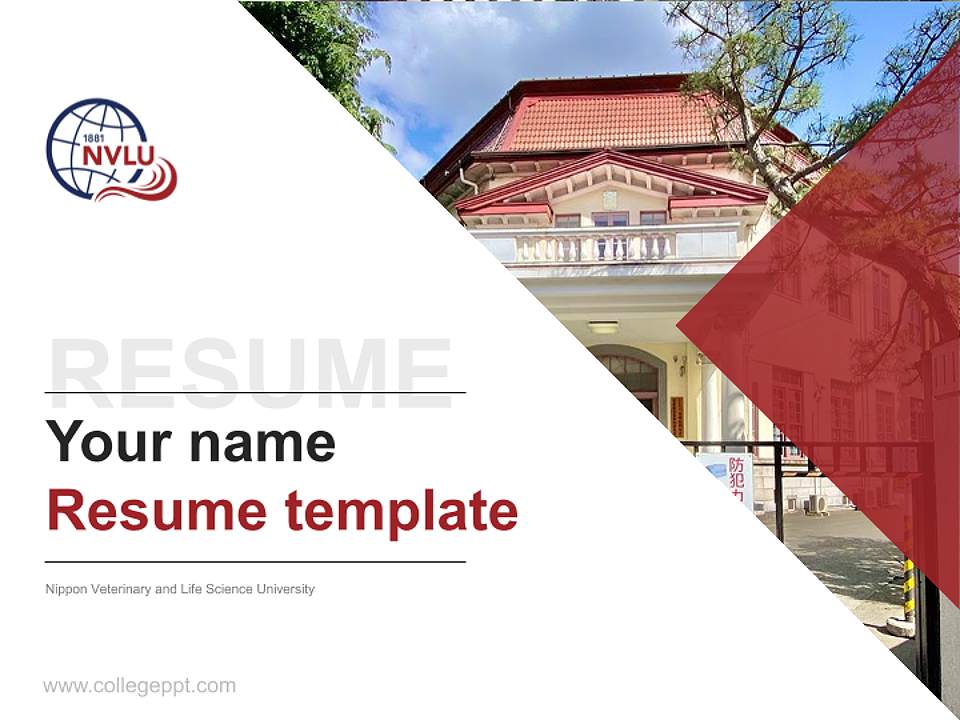 Nippon Veterinary and Life Science University Resume PPT Template4:3 ratio PPT effect preview image5