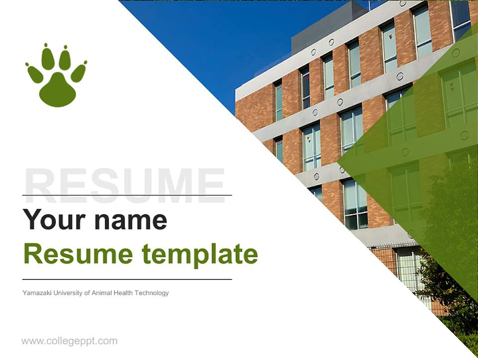 Yamazaki University of Animal Health Technology Resume PPT Template4:3 ratio PPT effect preview image5