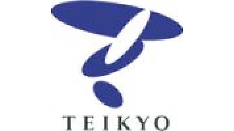 Teikyo Heisei University