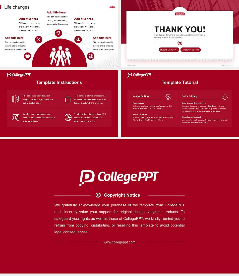 Tsuda University National Scholarship Defense PPT Template16:9 ratio PPT effect preview image4