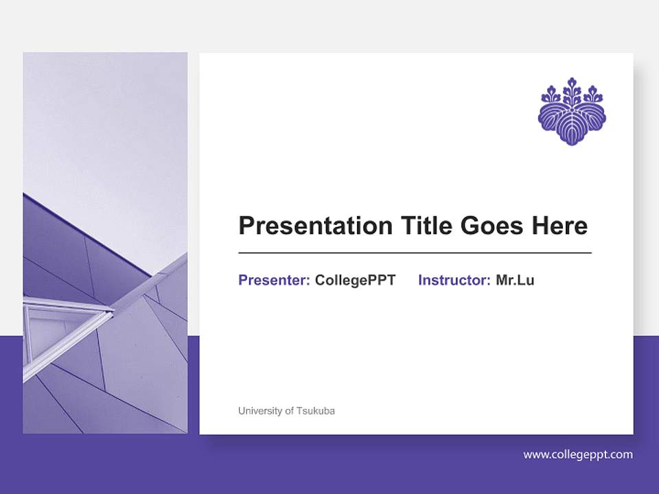 University of Tsukuba General PPT Template4:3 ratio PPT effect preview image6