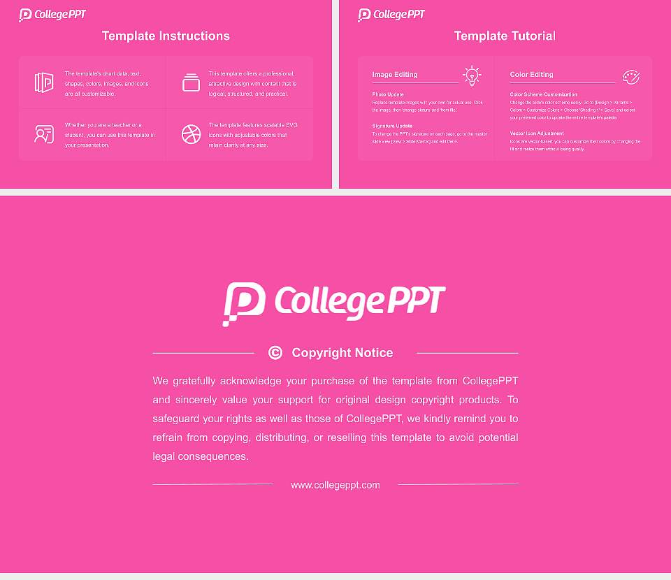Tokyo University of Foreign Studies Course/Courseware Creation PPT Template16:9 ratio PPT effect preview image5