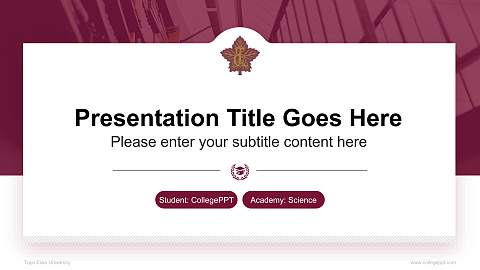 Toyo Eiwa University National Scholarship Defense PPT Template