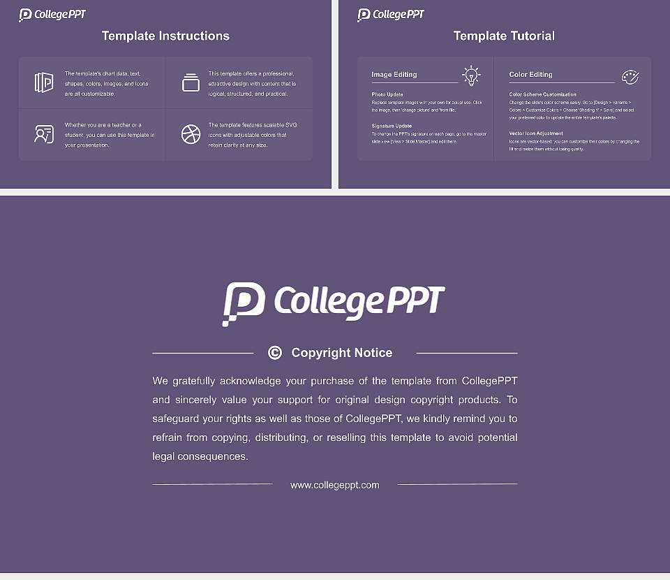 Taisho University Academic Presentation/Research Findings Report PPT Template16:9 ratio PPT effect preview image5