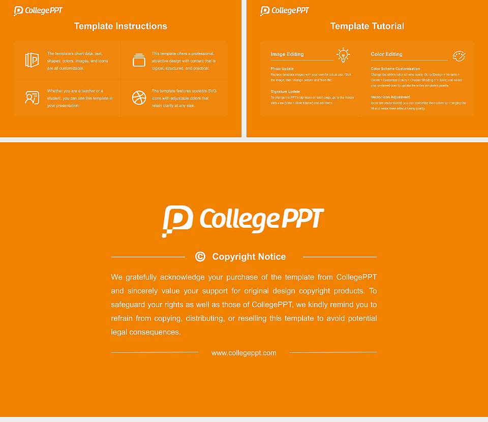 Tohoku Seikatsu Bunka University Academic Presentation/Research Findings Report PPT Template16:9 ratio PPT effect preview image5