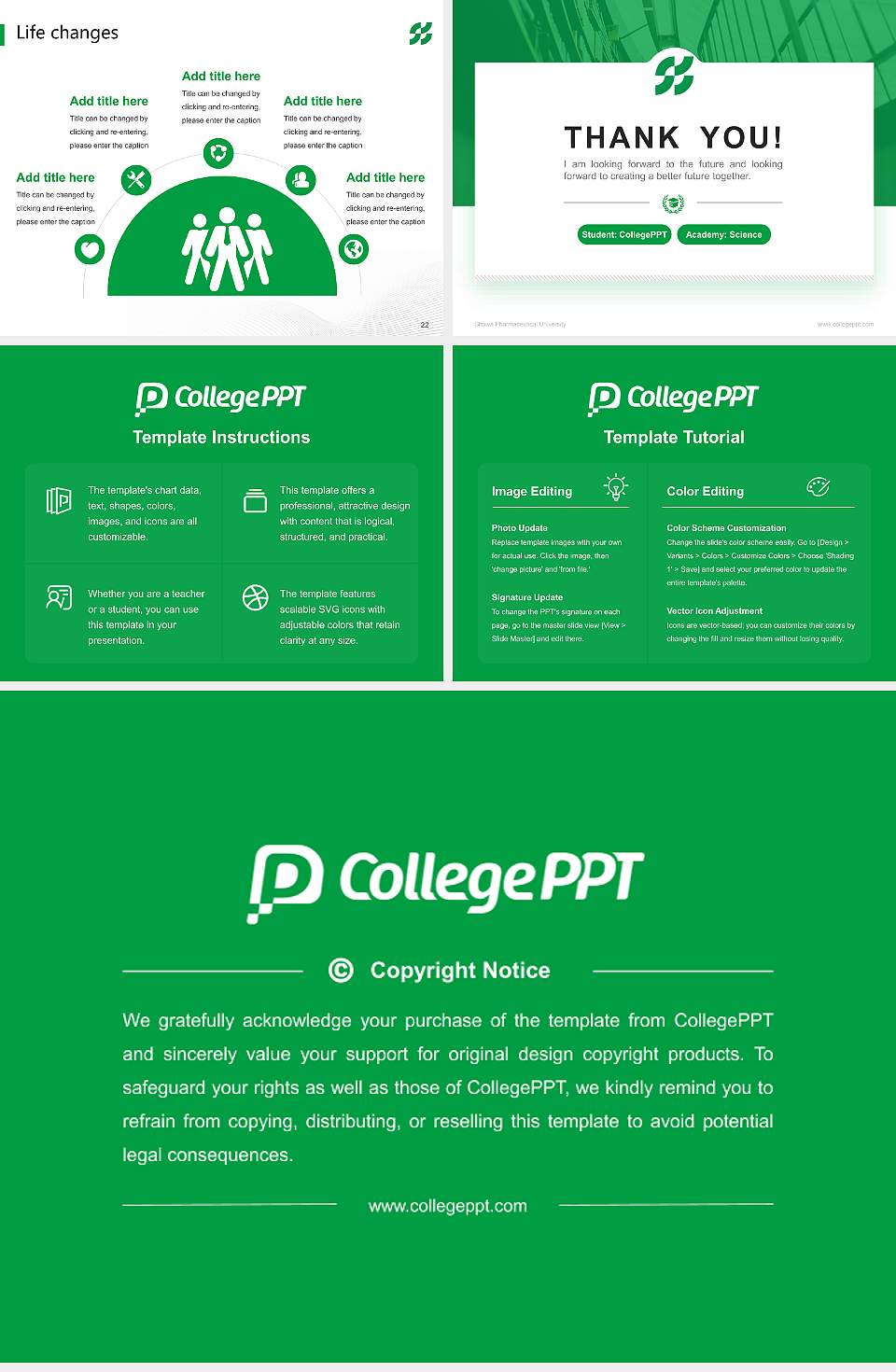 Showa Pharmaceutical University National Scholarship Defense PPT Template4:3 ratio PPT effect preview image4