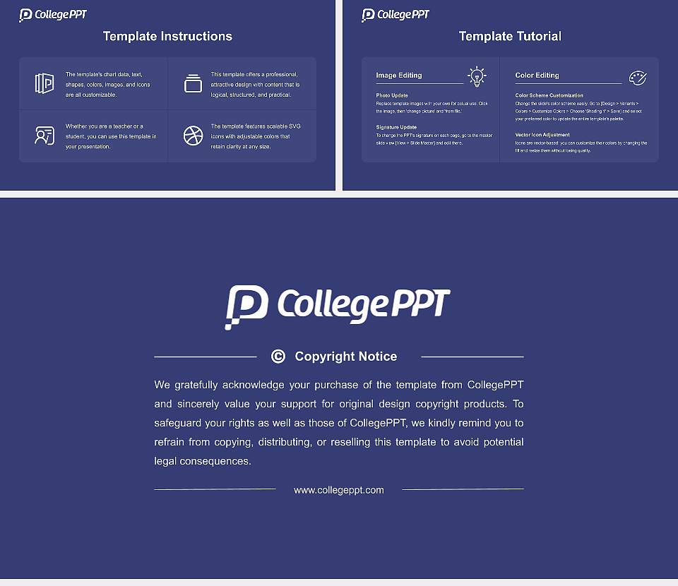 St. Luke’s International University Academic Presentation/Research Findings Report PPT Template16:9 ratio PPT effect preview image5