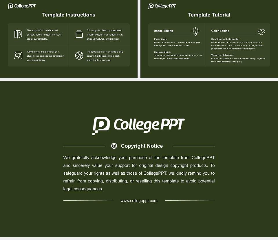 Jeppiaar University Course/Courseware Creation PPT Template16:9 ratio PPT effect preview image5