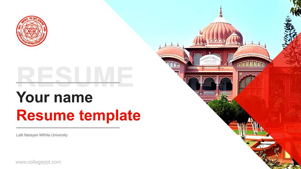 Lalit Narayan Mithila University Resume PPT Template16:9 ratio PPT effect preview image