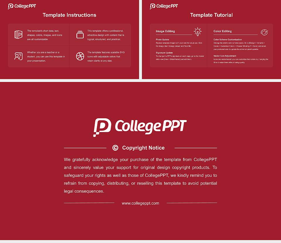 Lingaya ‘s Vidyapeeth Course/Courseware Creation PPT Template16:9 ratio PPT effect preview image5