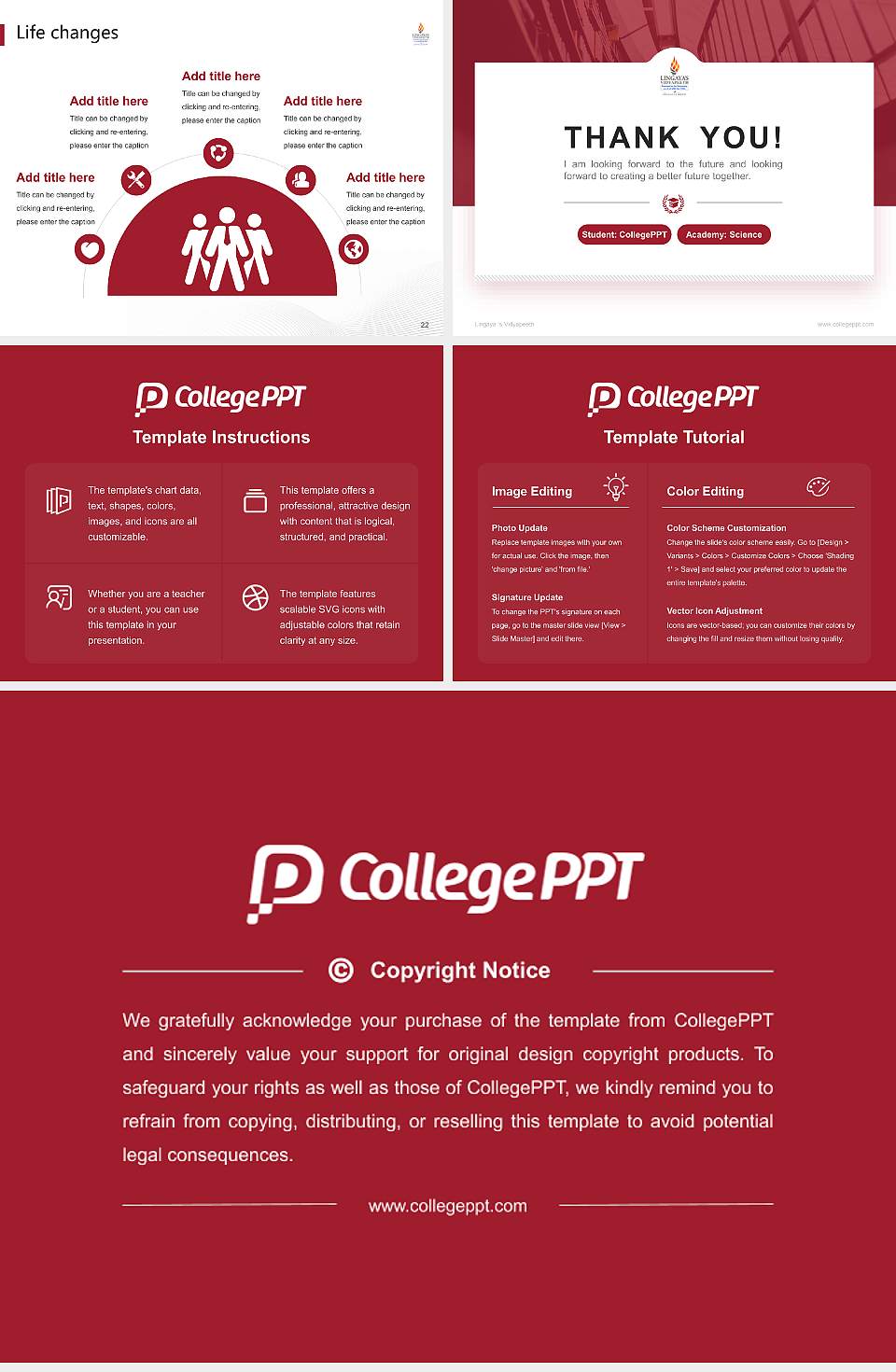 Lingaya ‘s Vidyapeeth National Scholarship Defense PPT Template4:3 ratio PPT effect preview image4