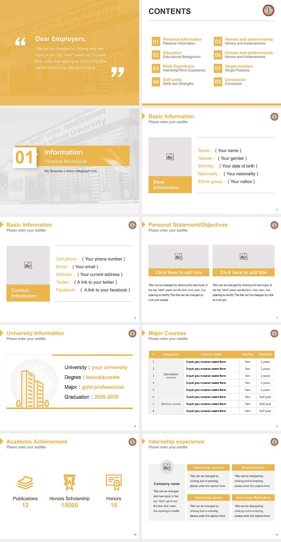 Jodhpur National University Resume PPT Template4:3 ratio PPT effect preview image2