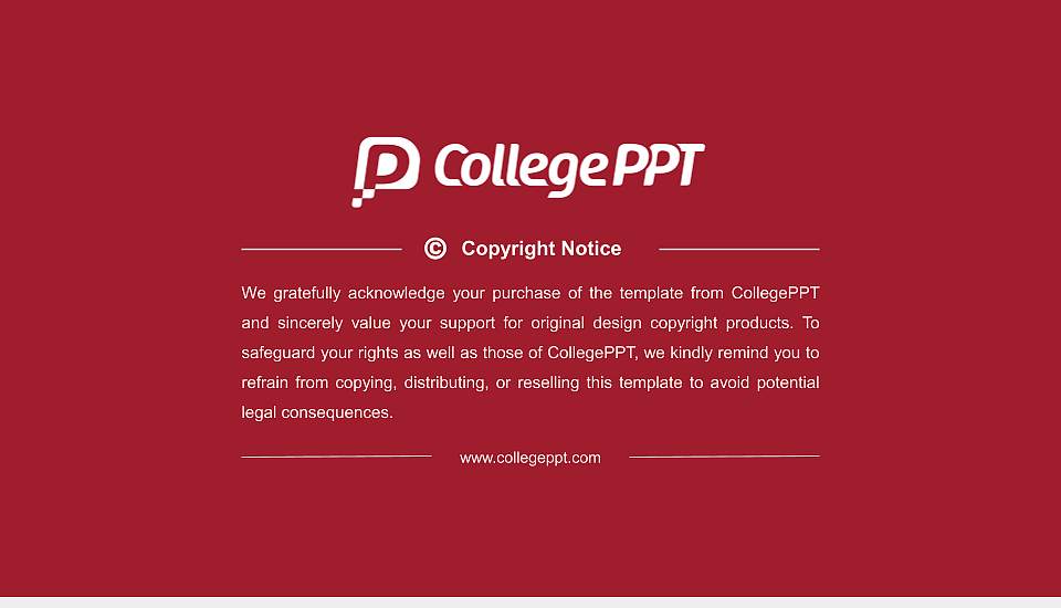 Lingaya ‘s Vidyapeeth Resume PPT Template16:9 ratio PPT effect preview image5