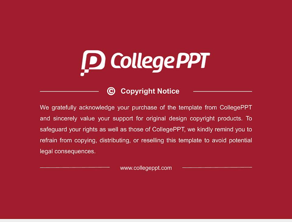 Lingaya ‘s Vidyapeeth Resume PPT Template4:3 ratio PPT effect preview image5