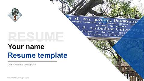 Dr. B. R. Ambedkar University Delhi Resume PPT Template